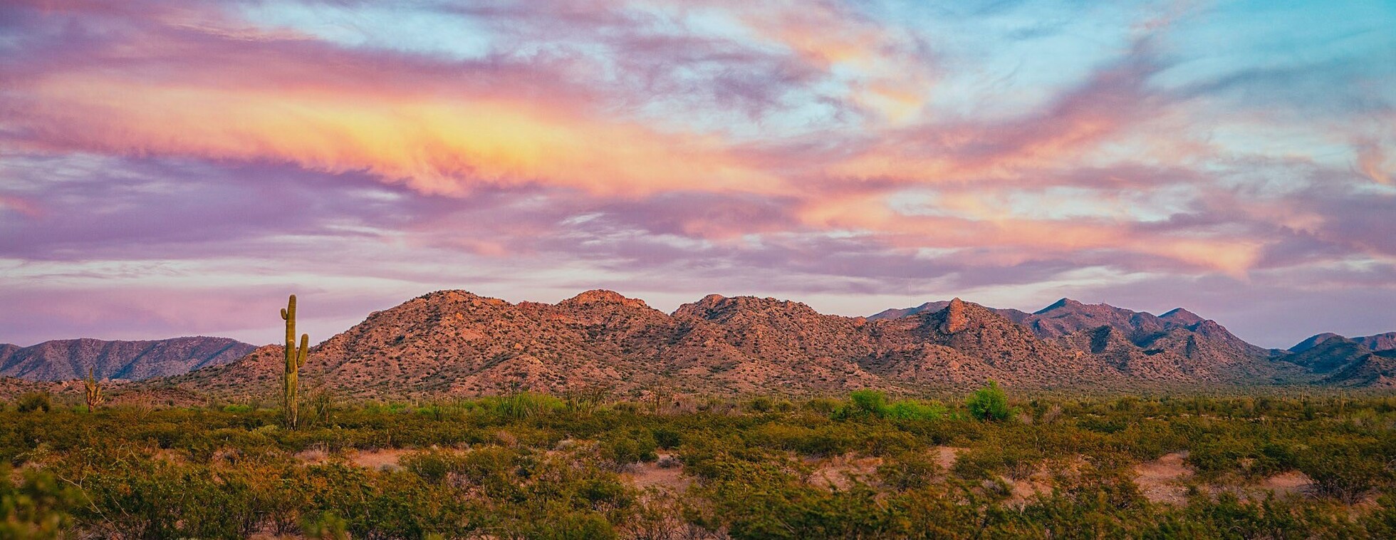 Diamond in the Desert